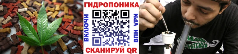 Купить Новотитаровская Canna-Cookies конопля