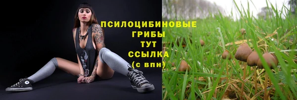 а пвп мука Дмитров