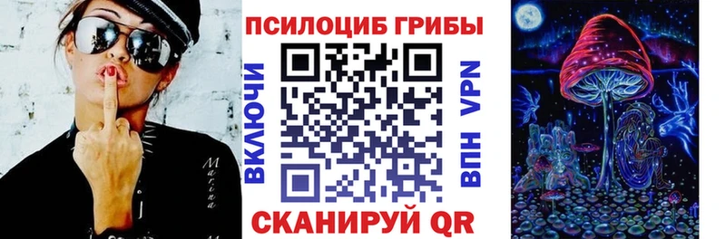 Купить  Новотитаровская  Галлюциногенные грибы Magic Shrooms 