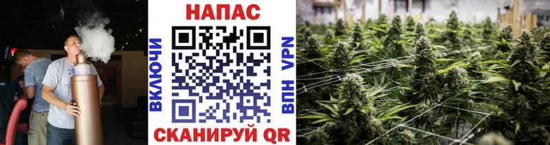 Купить  Новотитаровская  Канабис THC 21% 